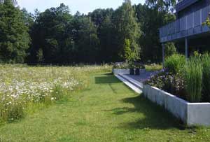 Garten in der Natur