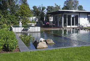 Hausgarten mit Pool